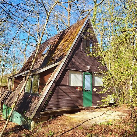 Chalet 139 Hakuna Matata Durbuy Zewnętrze zdjęcie