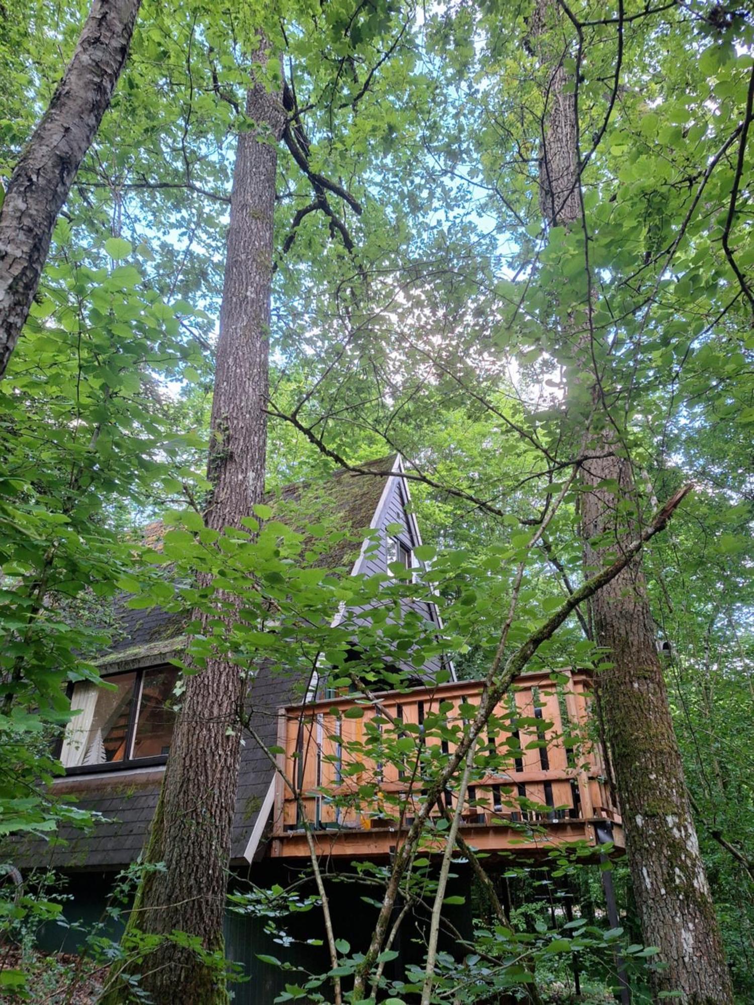 Chalet 139 Hakuna Matata Durbuy Zewnętrze zdjęcie