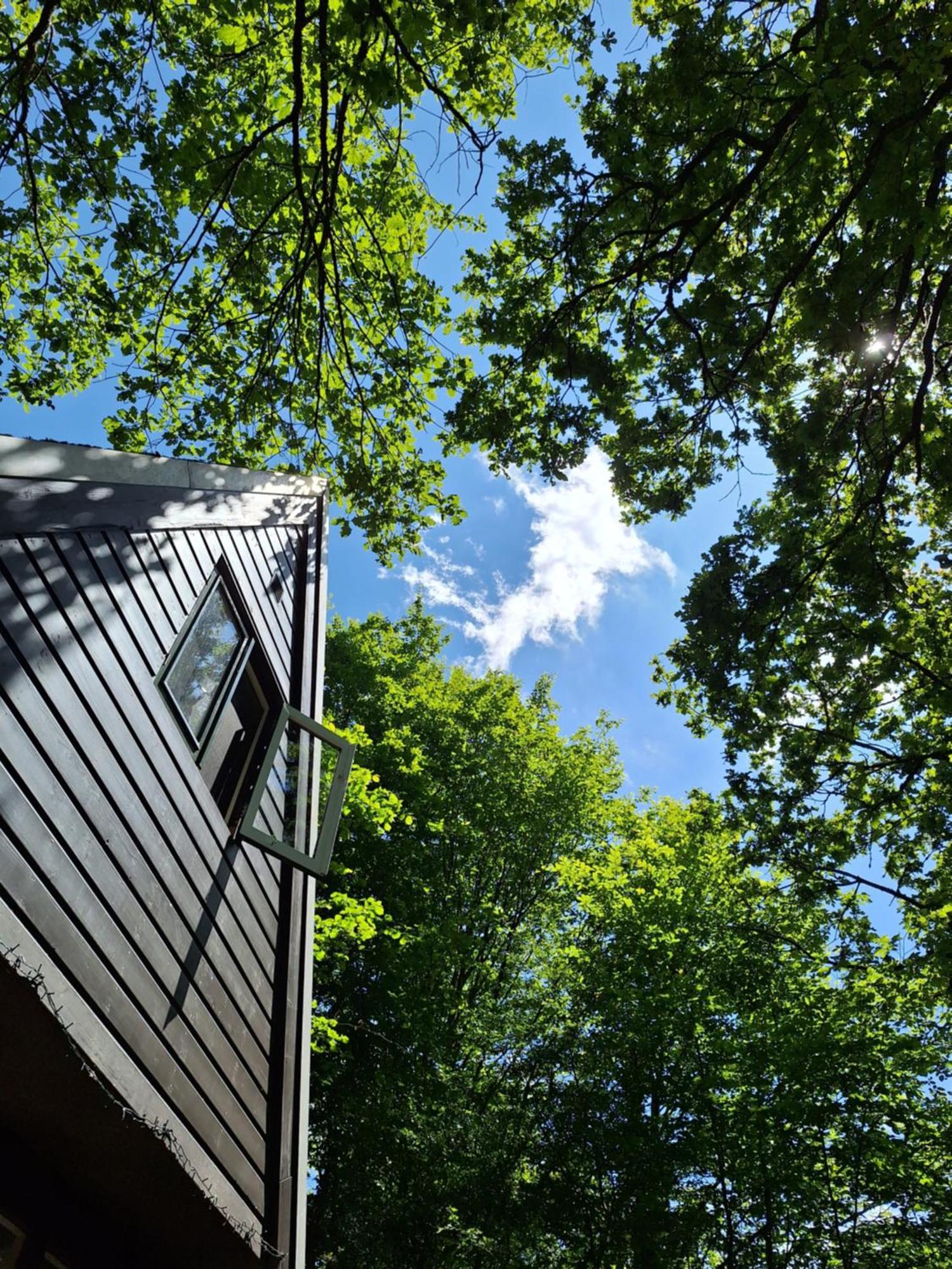 Chalet 139 Hakuna Matata Durbuy Zewnętrze zdjęcie